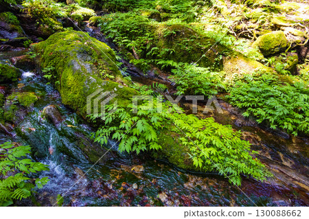 Kuromi瀑布 130088662