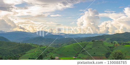 ecology travel with camping outdoor relax in rice field at chiangmai thailand in raining season ecology travel with camping outdoor relax in rice field at chiangmai thailand in raining season 130088785