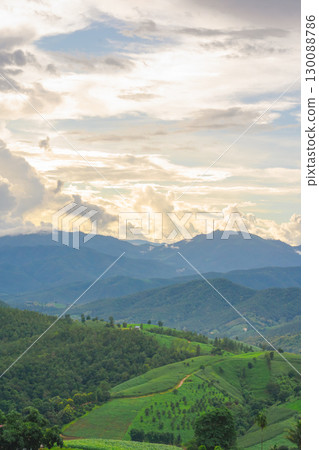ecology travel with camping outdoor relax in rice field at chiangmai thailand in raining season ecology travel with camping outdoor relax in rice field at chiangmai thailand in raining season 130088786