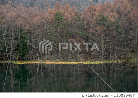 長野縣禦散迦池的秋葉 130089497