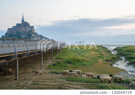 Sheep walking through the fields with Mont Saint-Michel and the bridge in the background (French World Heritage Site) Sheep walking through the fields with Mont Saint-Michel and the bridge in the background (French World Heritage Site) 130089729