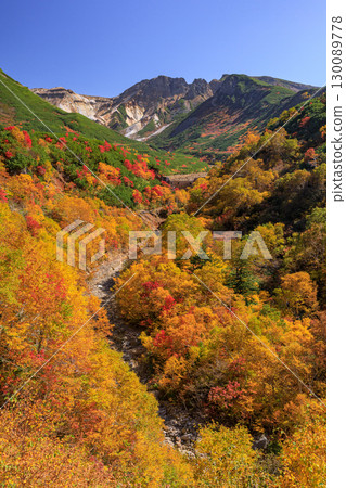 Burning autumn seen from Ryounkaku, Kamifurano, Hokkaido [September] 130089778