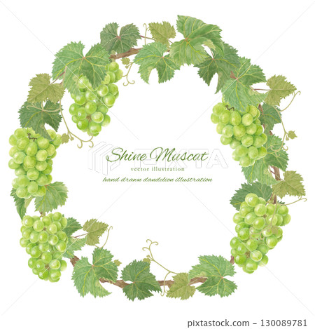 水彩閃耀馬斯喀特向量框架 130089781