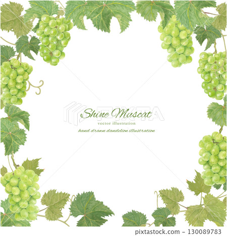 水彩閃耀馬斯喀特向量框架 130089783