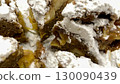 sweet taro paste on ice 130090439