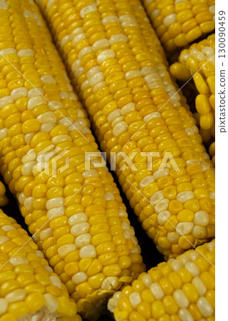 Close-up of cooked corn cobs Close-up of cooked corn cobs 130090459