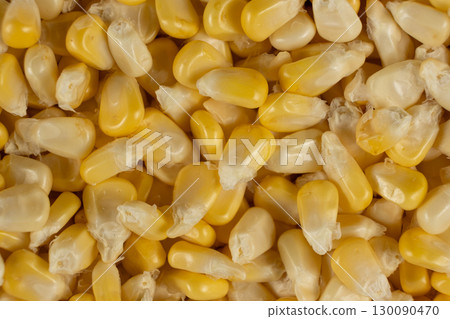 Fresh Raw Corn Kernels Macro Top View Texture 130090470
