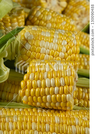 Raw fresh corn cobs with vibrant yellow kernels close-up 130090488