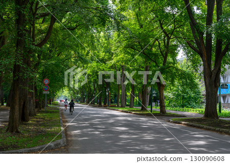 Hokkaido University Campus in midsummer_7788 130090608