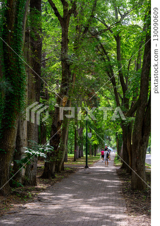 Hokkaido University Campus in Midsummer_7792 130090609