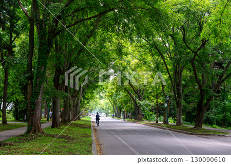 Hokkaido University Campus in Midsummer_7798 130090610