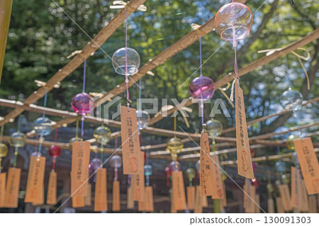 Izumo Taisha Shrine: Summer scenery of the grounds decorated with wind chimes Izumo Taisha Shrine: Summer scenery of the grounds decorated with wind chimes 130091303