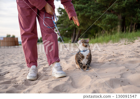 Discontent cat demand food and home from owner due to nerves stress on beach walk for first time 130091547