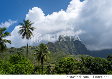Mount Temetiu near Atuona, Hiva Oa, French Polynesia, Marquesas Islands 130091562