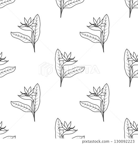 outline strelitzia flower seamless pattern 130092223