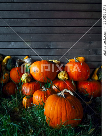 Pumpkins and gourds resting on grass in front of dark wooden wall Pumpkins and gourds resting on grass in front of dark wooden wall 130092372