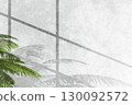 Modern minimal interior with sunlight and plant shadow. 130092572