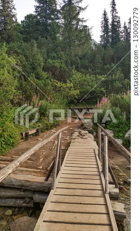Wooden hiking bridge over stream in high tatras mountains, slovakia 130092779