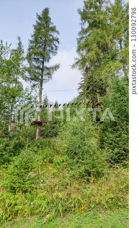 Rope park amidst lush greenery in high tatras mountains, slovakia 130092798