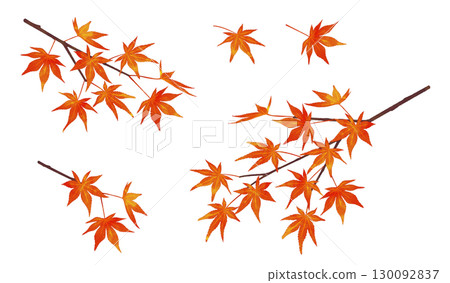 秋葉枝水彩風格 130092837