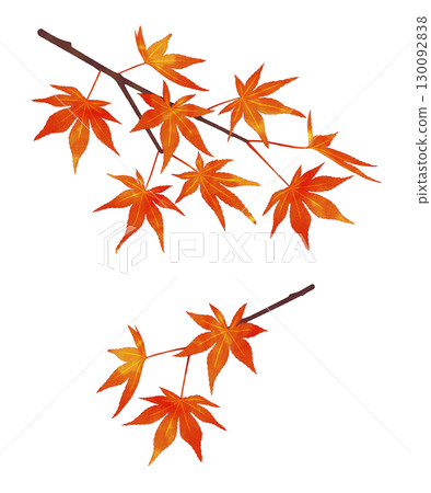 秋葉枝水彩風格 130092838