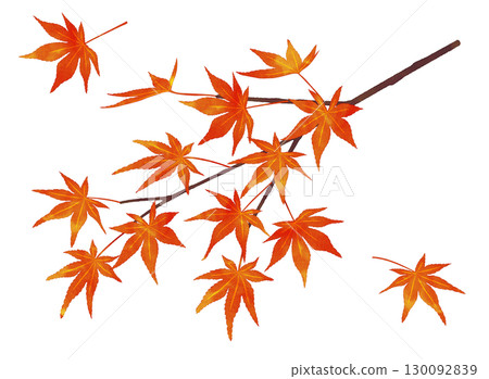 秋葉枝水彩風格 秋葉枝水彩風格 130092839