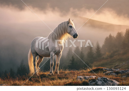 沐浴在朝陽中,欣賞白馬的絕美景色 沐浴在朝陽中,欣賞白馬的絕美景色 130093124