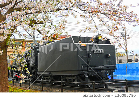 C57 type steam locomotive with cherry blossoms and season C57 type steam locomotive with cherry blossoms and season 130093780