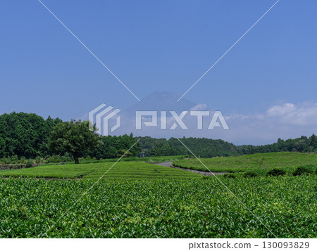 小淵笹羽與黑富士山 小淵笹羽與黑富士山 130093829