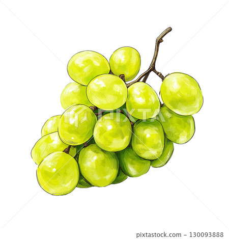 Shine Muscat 插圖 130093888