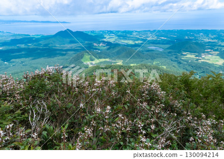 Flowers of the Daisen Utopia Course: Rhododendrons and the foothills of the mountain, Daisen Town, Saihaku District, Tottori Prefecture Flowers of the Daisen Utopia Course: Rhododendrons and the foothills of the mountain, Daisen Town, Saihaku District, Tottori Prefecture 130094214