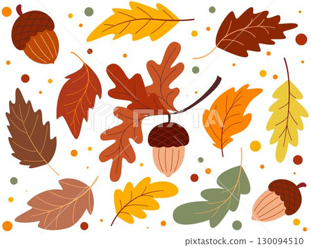 Hand drawn set of acorns and leaves of different colors Hand drawn set of acorns and leaves of different colors 130094510