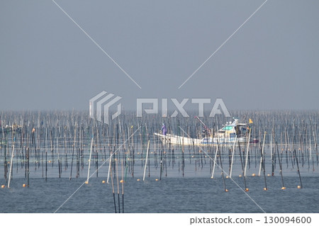 大牟田市有明海紫菜場, 大牟田市有明海紫菜場, 130094600