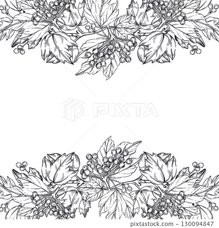 Vector frame of viburnum berries, viburnum leaves. All objects are hand-drawn with ink, the illustration is suitable for product label design, cosmetics, tableware and textile printing. Vector Vector frame of viburnum berries, viburnum leaves. All objects are hand-drawn with ink, the illustration is suitable for product label design, cosmetics, tableware and textile printing. Vector 130094847