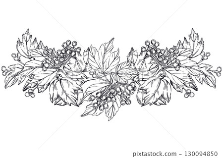 Vector composition of viburnum berries, viburnum leaves, shrub branches. All objects are hand-drawn with ink. Illustration is suitable for printing on fabric, tableware, for product packaging design.  130094850