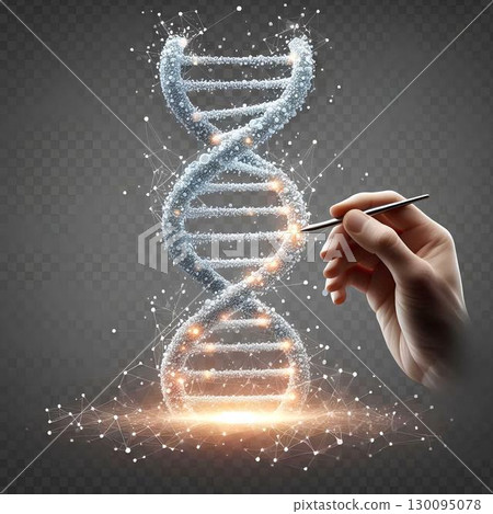 representation of the dna double helix 130095078