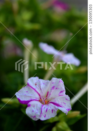 Osloi burner 130095303