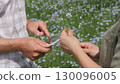 Farmers work with digital tablet in a blossoming flax field, closeup hands 130096005