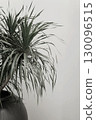 Organic photo real image green potted plant white neutral wall minimal aesthetic art design interior 130096515