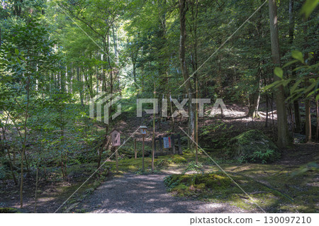 Izumo Taisha Shrine, Shrine Forest Tomb Izumo Taisha Shrine, Shrine Forest Tomb 130097210