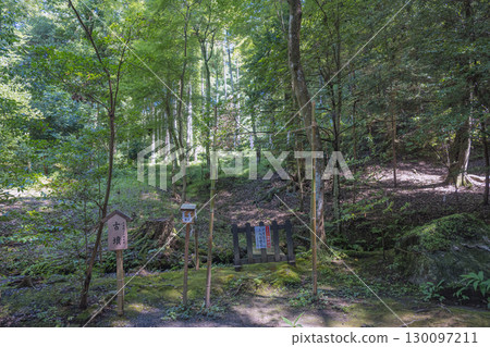 出雲大社、神社森林古墓 出雲大社、神社森林古墓 130097211