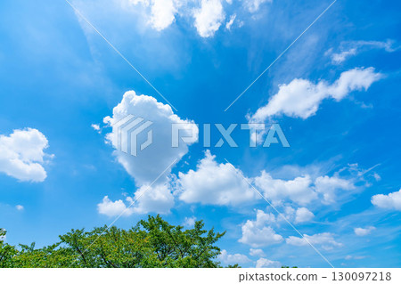藍天，白雲和樹林 130097218