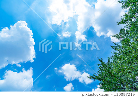 藍天，白雲和樹林 130097219