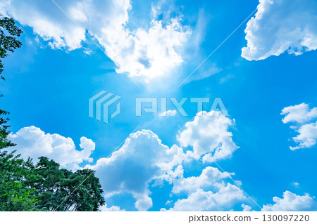 Blue sky, clouds and grove 130097220