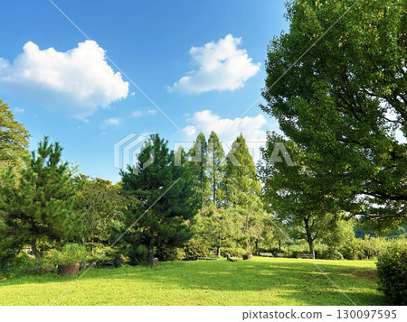 藍天綠樹的公園 130097595