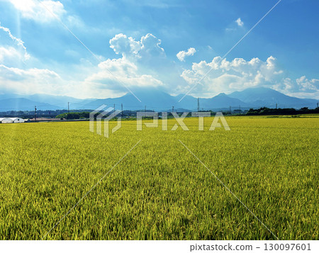 藍天和鄉下 130097601