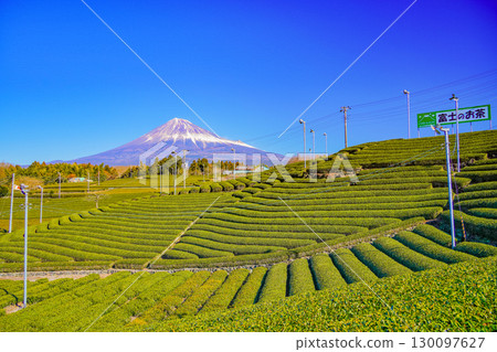 [靜岡縣] 富士茶 - 冬季茶田上的富士山 130097627