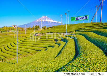 [靜岡縣] 富士茶 - 冬季茶田上的富士山 130097632