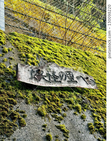 祖谷溪「妖怪村」的青苔路牌 130098220