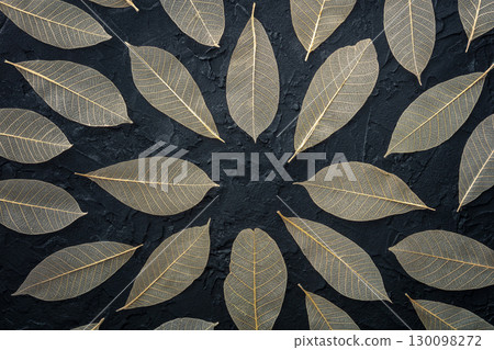 Autumn leaves frame on a black background. Skeleton leaves with copy space 130098272